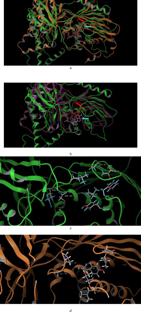 Figure 1 From Molecular And Biochemical Characterization Of Human