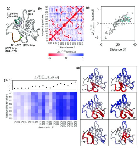 Allosteric Signaling Caused By Calcium Ion Binding To The IDR In SrtA