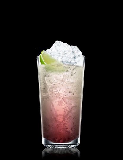 Sloe Gin Rickey Recipe | Absolut Drinks