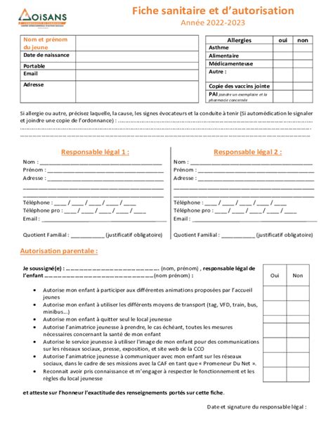 Remplissable En Ligne Fiche Sanitaire De Liaison Rez Faxer Email