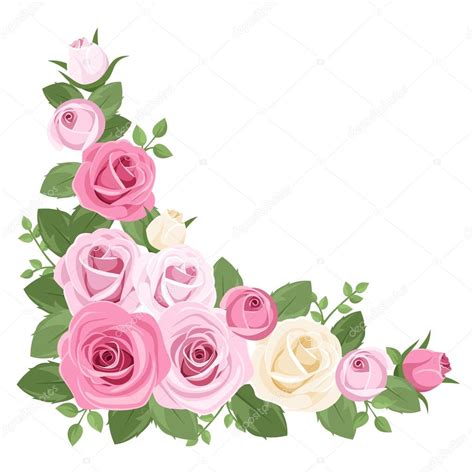 Rosas Rosadas Y Blancas Capullos De Rosa Y Hojas Ilustración Vectorial Vector Gráfico