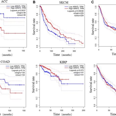 Chrono Pharmacokinetics Of Drug Metabolism Detoxification And