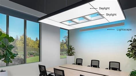 Natureconnect Natural Lighting Solutions Signify Company Website