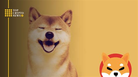 Shiba Inu Burn Rate Spikes But Prices Lag As Whales Move Trillions