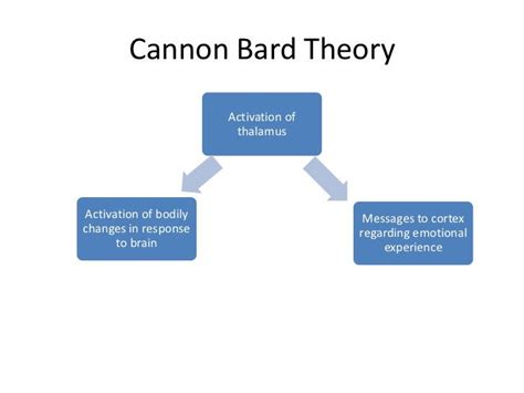 Cannon Bard Theory Of Emotion Gatorgulf