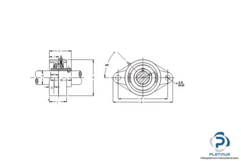 Nkb Ucfl Oval Flange Ball Bearing Unit Platinum International