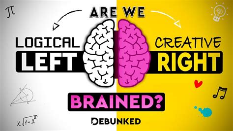 Left Brain Vs Right Brain Myth Debunked Youtube