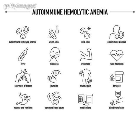 Autoimmune Hemolytic Anemia Symptoms Diagnostic And Treatment Vector