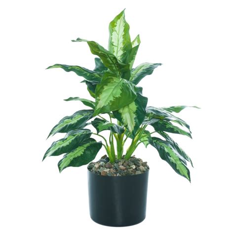 Купить Искусственная композиция Диффенбахия микс, H45см | Искусственные ...