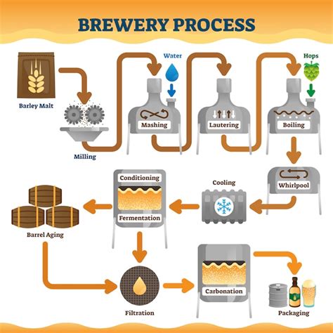 Ilustración del proceso de cervecería Vector Premium