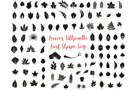 Leaf Svg Bundle Graphic By Meshaarts Creative Fabrica