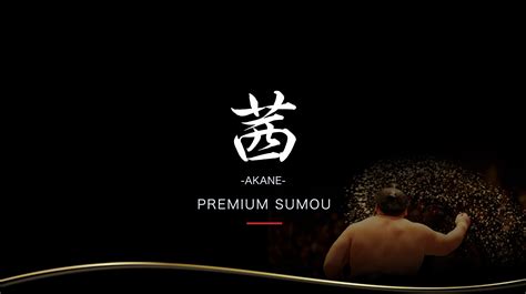 东京 Premium Akane 5 月大相扑比赛特别席位（两国国技馆、东京masu 席位） ＋ 箱根镰仓周游券（3日） 套票