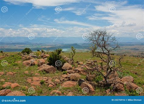 African Grassland Royalty Free Stock Image - Image: 23276916