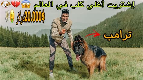 إشتريت أغلي وأشرس كلب في مصرأول علي العالم😱💔💸💸 Youtube