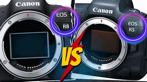 Canon EOS R8 Vs Canon EOS R5 Specs | Which Is Best To Buy