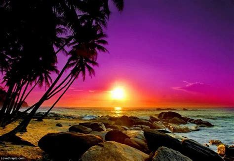 Pictures Of The Beach At Sunset Google Search Beach Sunset