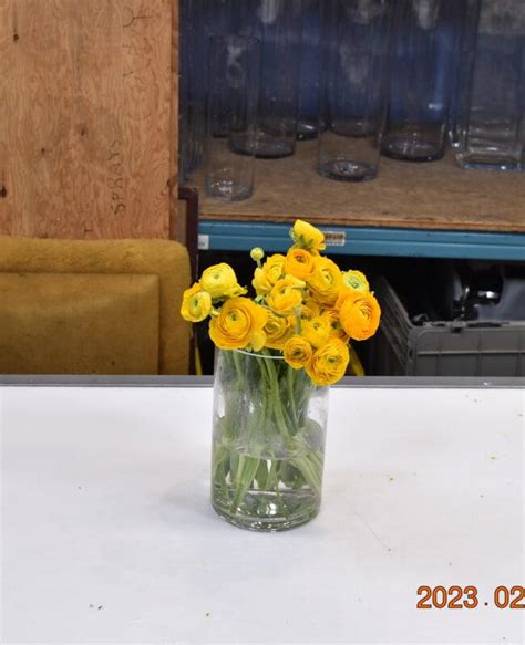 Ranunculus Cloni Yellow Iandf Design