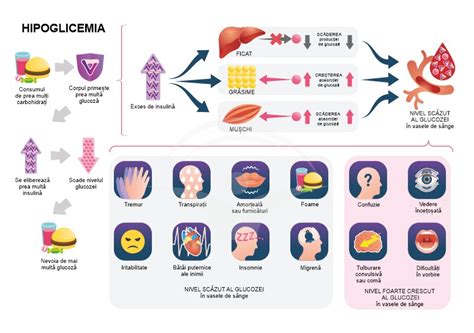 Hipoglicemia Cauze Manifestari Si Tratament