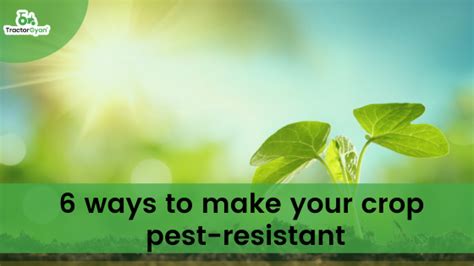 6 Ways To Make Your Crop Pest Resistant Tg299