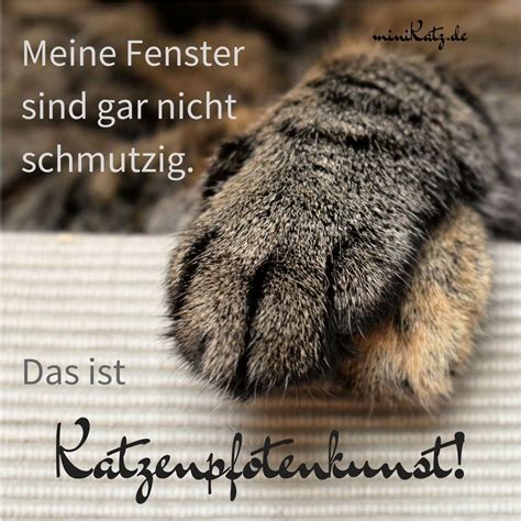 Katzen Zitate Liebe