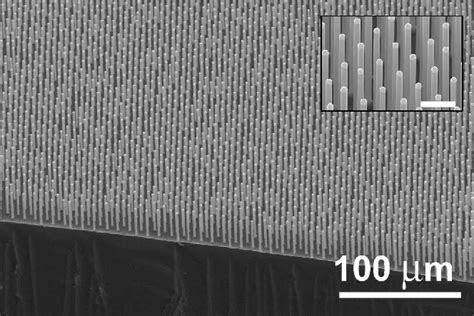 Figure 1 From Growth Of Vertically Aligned Si Wire Arrays Over Large