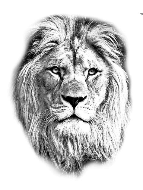 A Black And White Photo Of A Lion S Face