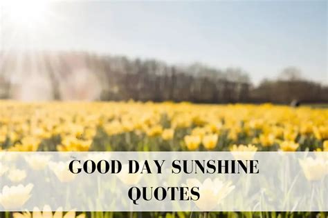 Good Day Sunshine Quotes Brighten Your Day With Positive Inspiration