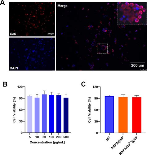 Ph Responsive Multifunctional Theranostic Rapamycin Loaded