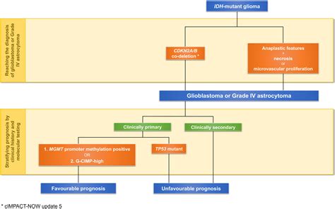 Molecular Landscape Of Idh Mutant Primary Astrocytoma Grade Iv