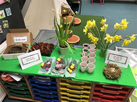 Spring Interest Table Eyfs Spring Display Ideas Classroom Spring