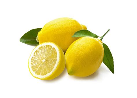 Limone Lunario O Quattro Stagioni Citrus Limon Come Coltivarlo In