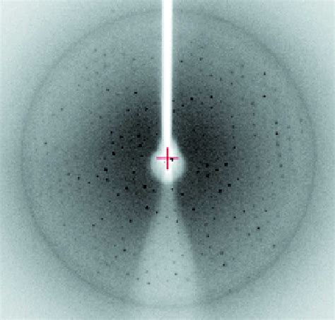 Iucr Crystallization And Preliminary X Ray Crystallographic Analysis