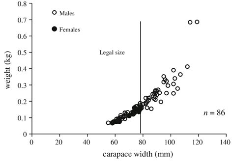 Snow Crab Chionoecetes Opilio Weight Kg Versus Carapace Width Mm