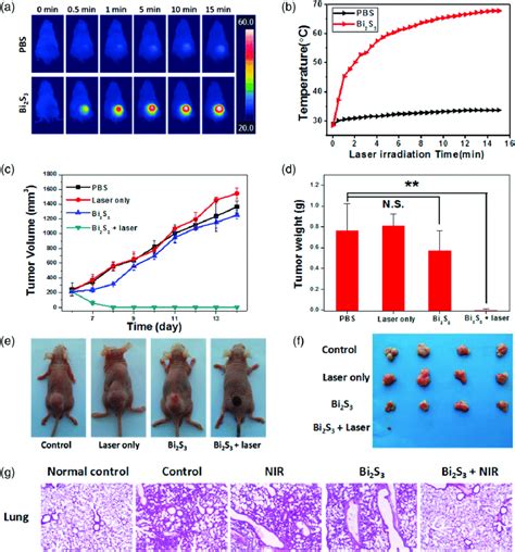 In Vivo Photothermal Therapy A B Nir Photothermal Images Of T