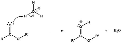 22.10: Reactions of Esters - Chemistry LibreTexts