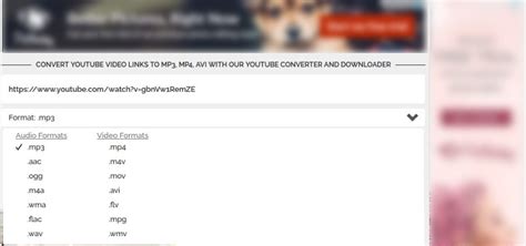 Youtube To Mp3 Converter Flvto 2