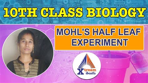 10th Class Biology Mohls Half Leaf Experiment And Oxygen Is Produced