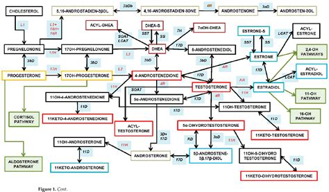 Figure 1 From The Roles Of Androgens In Humans Biology Metabolic