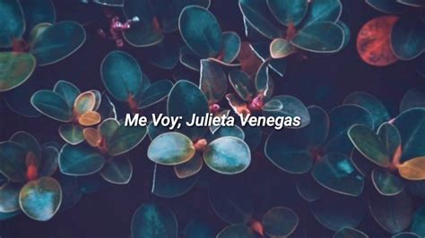 Me Voy Julieta Venegas Letra Youtube