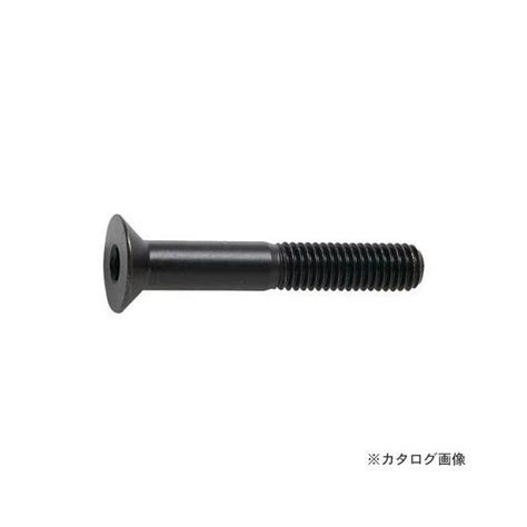 Trusco 六角穴付皿ボルト 黒染め サイズm10x50 12本入 B73 1050 Tr 1638866たつみねっと 通販