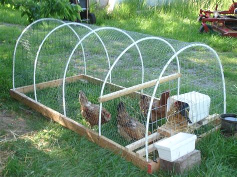 We Love Hoop Houses Best Chicken Coop Chicken Garden Backyard