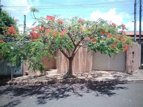 Casa Venda Na Rua Das Castanheiras Dracena Sp C Digo