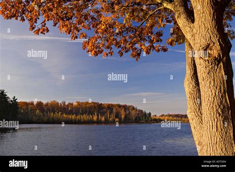 Fall color at Mission Lake Park in Marathon County Wisconsin Stock ...