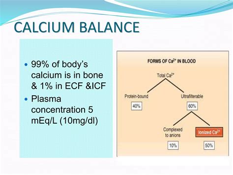 Potassium, Calcium & Phosphate Balance | PPTX