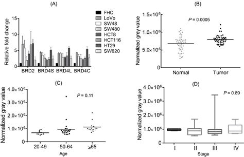 BRD4 Is Highly Expressed In Colorectal Cancer CRC A MRNA