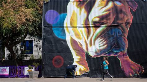 Muralists For The Wide Open Walls Festival In Sacramento Sacramento Bee