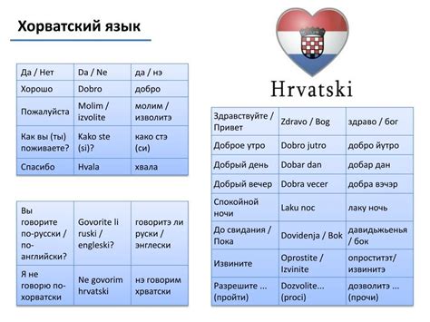 Перевод С Хорватского По Фото – Telegraph