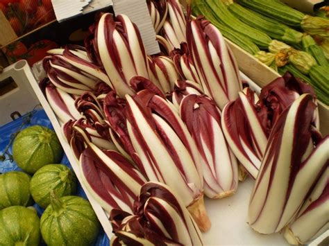 Radicchio Of Treviso Delicious Italy