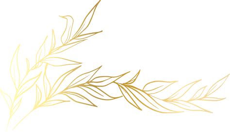 Free Blattgold Linie Png With Transparent Background