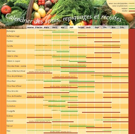 Calendrier Plantation Potager Calendrier Des Semis L Gumes